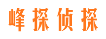 青羊市私家侦探